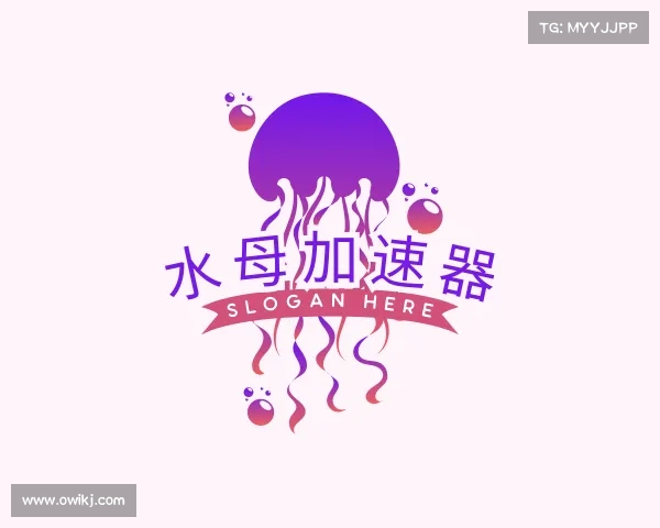 认识水母加速器